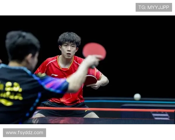 南京乒乓球队的默契配合与战术探讨聚焦乒乓球的魅力与挑战